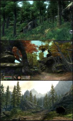 Сравнительные скриншоты Oblivion и Skyrim