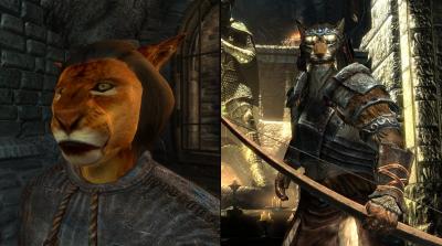 Сравнительные скриншоты Oblivion и Skyrim