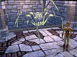 Neverwinter Nights