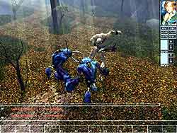 Neverwinter Nights
