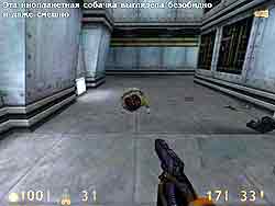 По другую половину жизни. Часть 2.