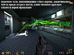 По другую половину жизни. Часть 5.