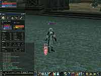 Эльфы маги в мире Lineage 2 Эльфы маги в мире Lineage 2