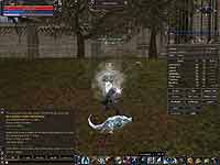 Эльфы маги в мире Lineage 2 Эльфы маги в мире Lineage 2