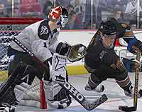 NHL 2007