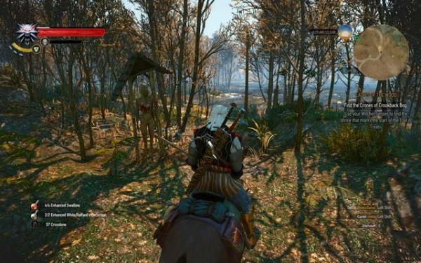 Хозяйки леса