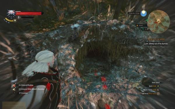 Хозяйки леса