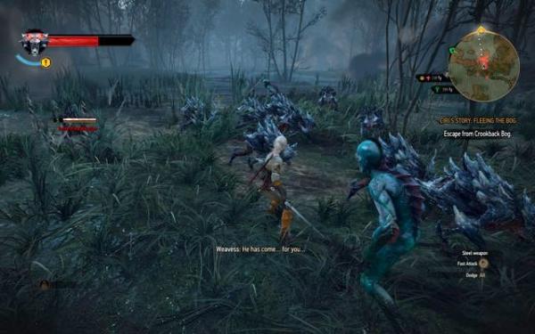 Хозяйки леса