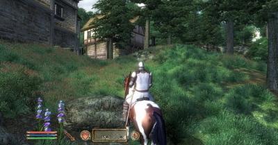 Elder Scrolls 4: Oblivion, The