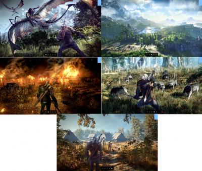 Новая информация о The Witcher 3