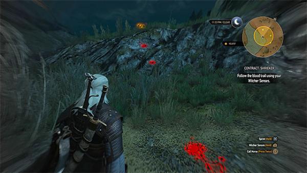 Ведьмачьи заказы возле Врониц