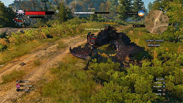 Ведьмачьи заказы возле Врониц