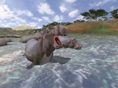 Wild Earth: Photo Safari