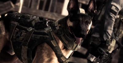 Activision анонсирует «расцвет Call of Duty»