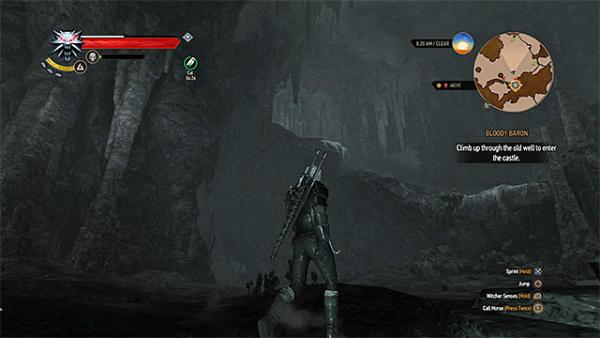 Кровавый барон – основное задание