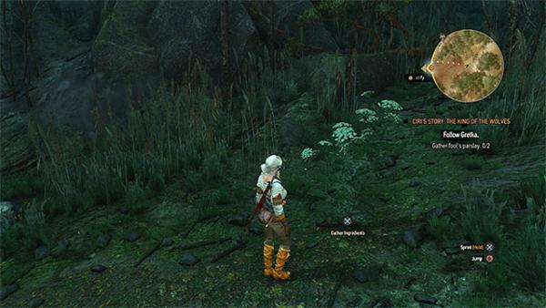 История Цири. Король волков – основное задание