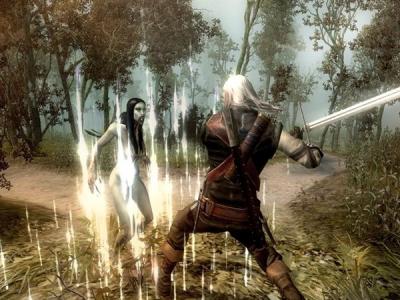 The Witcher