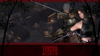 Обзор Tenchu: Wrath of Heaven