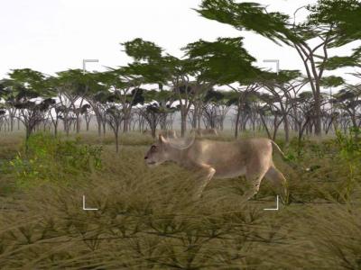 Wild Earth: Photo Safari