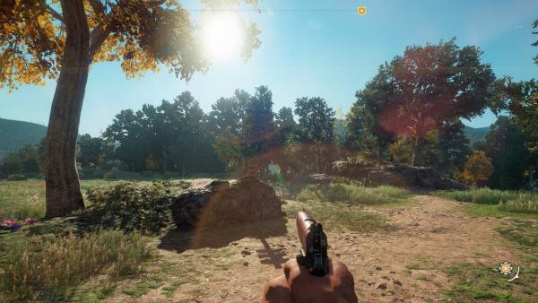 Обзор Far Cry: New Dawn
