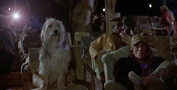 Парень и его пес