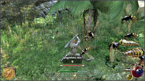 Полное прохождение Two Worlds 2. Гильдия магов