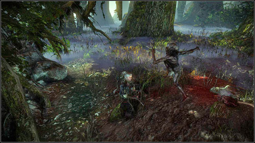 Прохождение Witcher 2: Assassins of Kings