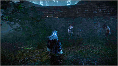 Прохождение Witcher 2: Assassins of Kings