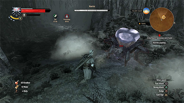 Заказ: Пропавший брат - Ведьмак 3 - Паук может отравить Геральта