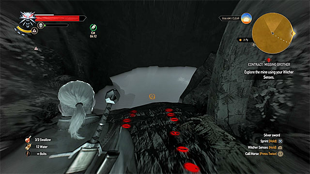 Заказ: Пропавший брат - Ведьмак 3 - Здесь спрыгнуть в воду