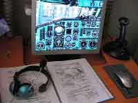 Microsoft Flight Simulator