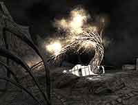 Тургор: Голос цвета