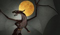 Dragon Age Keep позволит настраивать историю мира