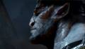 В Dragon Age Inquisition учли пожелания игроков