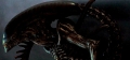Creative Assembly продолжает работу над «Чужим»