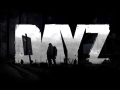 Коллектив DayZ возрастает