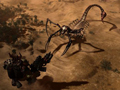 Официально анонсирована стратегия Warhammer 40.000: Gladius — Relics of War
